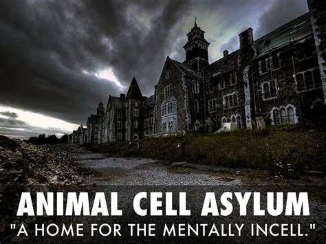 Check spelling or type a new query. Animal Cell Asylum by Noneofyour Business