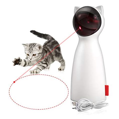 Best Laser Pointer For Cats Read Reviews And Buyer Guide