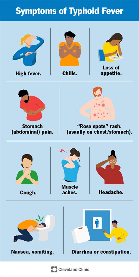 Understanding Enteric Fever Causes Symptoms And Treatment Ask The