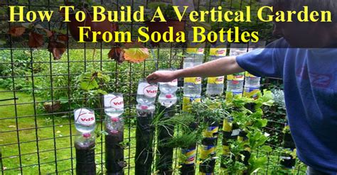 Bottle gardens can be made entirely out of recycled household materials. Do Not Throw Your Soda Bottles: Make A Vertical Garden ...