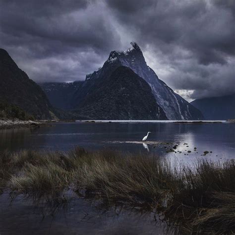 Moody Milford Mornings Milford Sound New Zealand