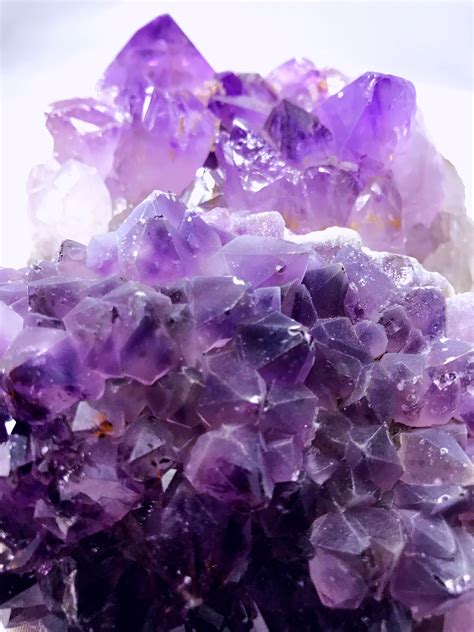 Large Amethyst Crystal Cluster | Earths Curious Goods