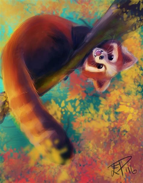 A Painting I Made Of A Cute Red Panda Red Panda Red Panda Cute