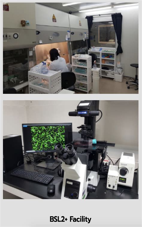 Fill in your details below or click an icon to log in: วัคซีนป้องกัน โรคโควิด-19 - NSTDA