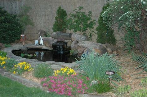 Zero Scape Front Yard Ideas My 4 Ft Deep Pond Is Small But Deep Due
