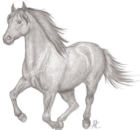 Horse Drawing Easy Running Jayna Mccauley
