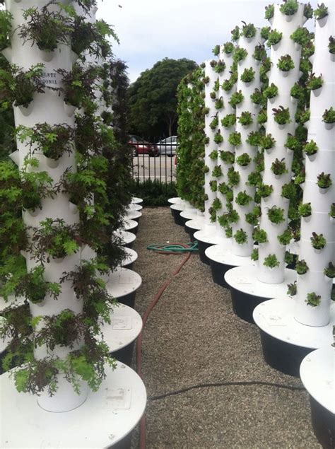 Vertical Garden Walls Hydroponic Cylinders Used To Grow Food For All