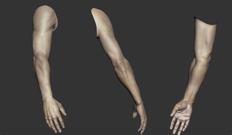 Arm.max 3d model available on turbo squid, the world's leading provider of digital 3d models for visualization, films how to draw reference resources tutorial practice anatomy human constructive artists learn arm forearm elbow wrist hand bones. ArtStation - Arm Anatomy, Sam Walton
