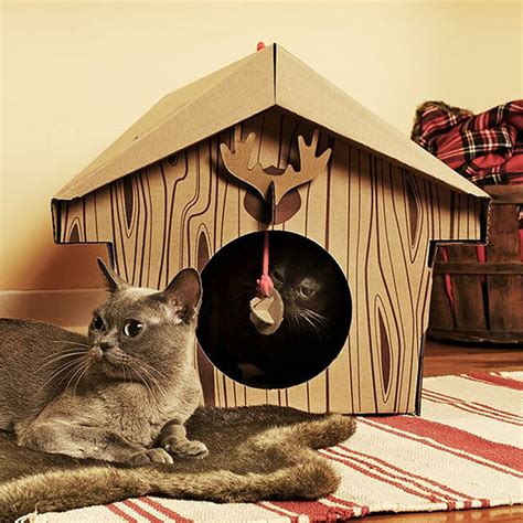 10 Unusual Cardboard Cat Playhouses Design Swan