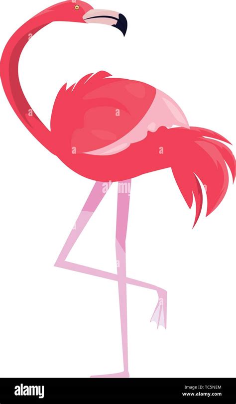 Pink Flamingo Bird Exotic On White Background Vector Illustration Stock Vector Image And Art Alamy