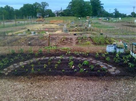 Community Garden Connects People Plants Final Touch Plantscaping