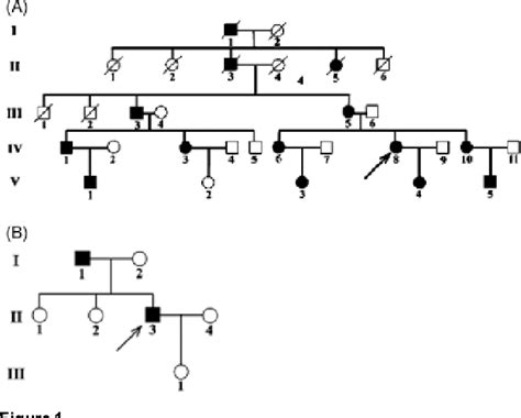 Figure 1 From Novel Mutations Of The Rna Specific Adenosine Deaminase
