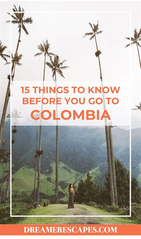 Palm Trees With The Words 15 Things To Know Before You Go To Colombia