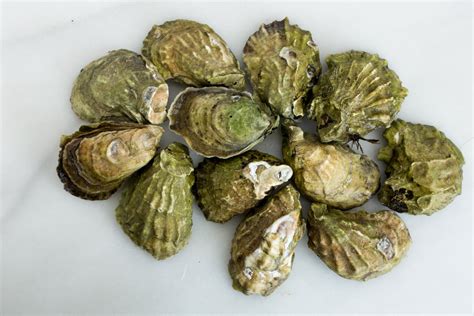 Wellfleet Oysters Ma Element Seafood