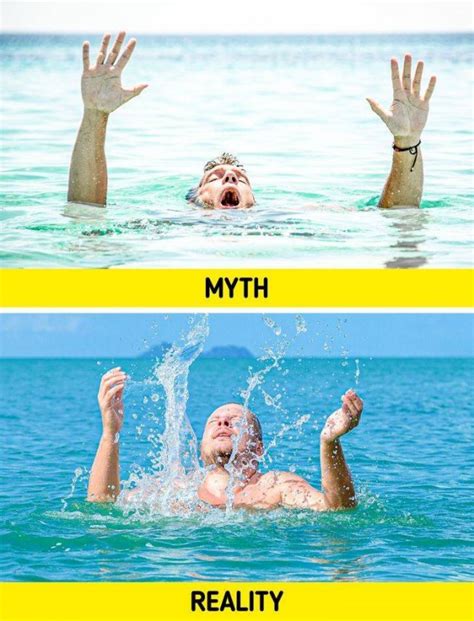 Human Body Myths Pics
