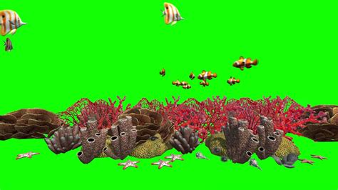 Animated Coral Reef Green Screen Free To Use Youtube