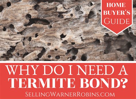 Certainty not as common as in other areas. Do I Need a Termite Bond?