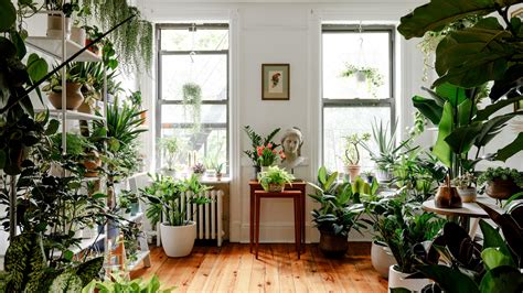 Indoor Plants Liven Up These 6 Homes Architectural Digest Architectural Digest