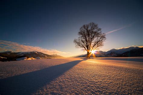 Nature Landscape Trees Winter Snow Mountain Sun Sunrise Shadow