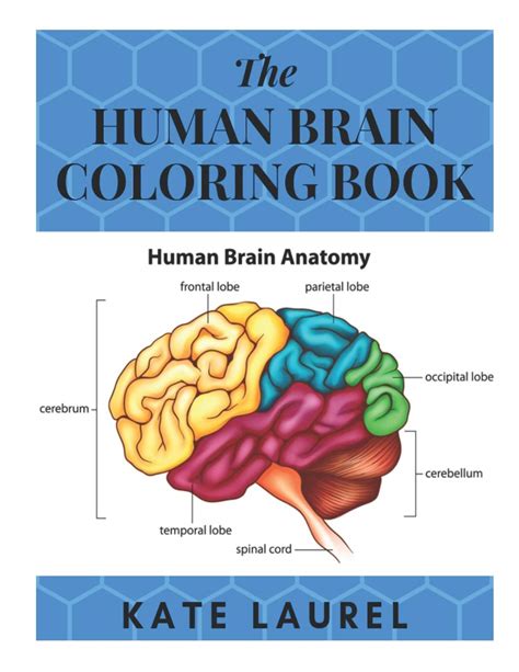 Human Brain Coloring Book Bilscreen