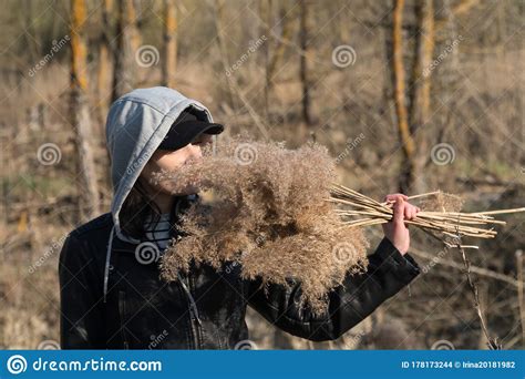 A Girl On The Background Of Reeds In The Field Holding Branches Of