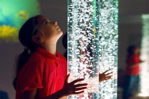 Sensory Processing Know How To Take The Chaos Out Of Learning Success