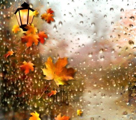 Autumn Rain Wallpapers 4k Hd Autumn Rain Backgrounds On Wallpaperbat