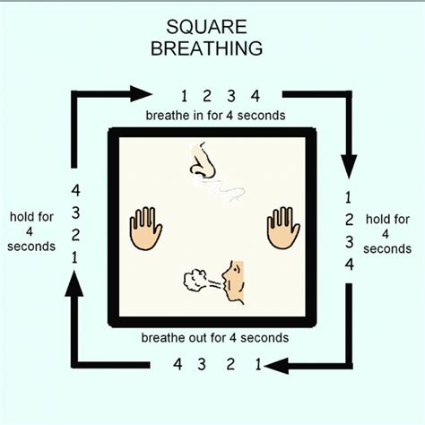 Dynamic Breathwork FREE intro session - Dynamic Stability