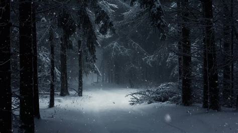 Forest With Snow In Winter Live Wallpaper Wallpaperwaifu