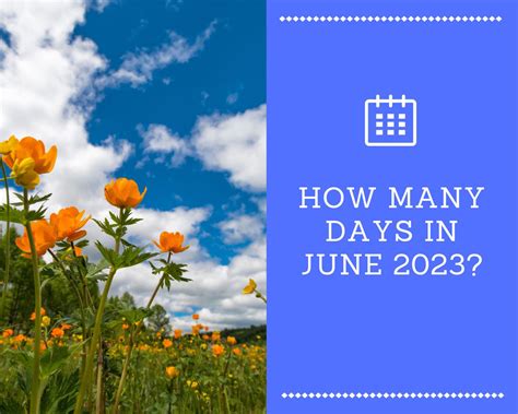 How Many Days Until June 8th 2024 - Evanne Kylynn