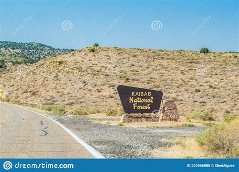An Entrance Road Going In Grand Canyon Np Arizona Editorial Stock