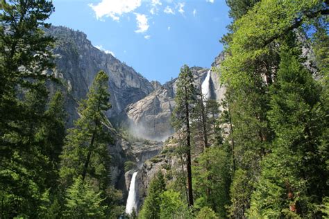 The Onion Cart Travels Yosemite National Park And Sequoia