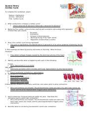 Bio291 R2 Ch 20 Animation Worksheet 1 Docx Ayanna Henry Cardiac