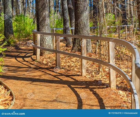 Curving Fence On Winding Forest Path Stock Photo Image Of Curving