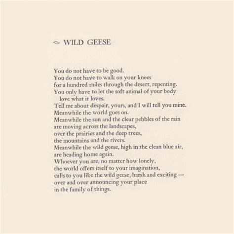 Wild Geese — Emily Blincoe Wild Geese Mary Oliver Mary Oliver Poems