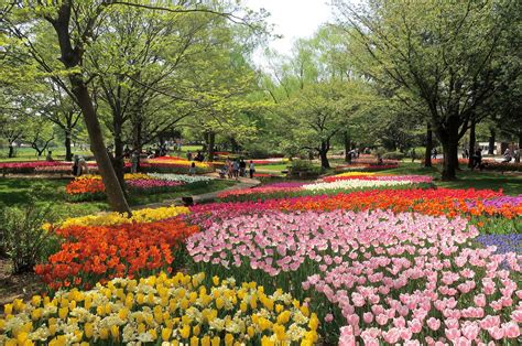 To create the perfect autumn garden, take the time to check in with your local nursery or plant supplier to determine the ideal time to plant the flowers that you like. City - 4 flower gardens in bloom year-round - Tokyo Picks