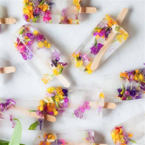 Edible Flower Ice Lollies Flower Ice Floral Ice Ice Pop Recipes