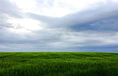 Green Field Under Cloudy Sky During Daytime Hd Wallpaper Wallpaper Flare