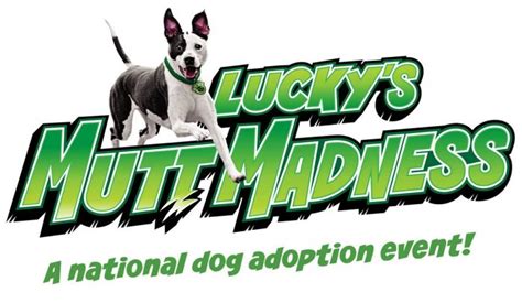 Equip Expo Will Host Another Mutt Madness Dog Adoption Event This Fall