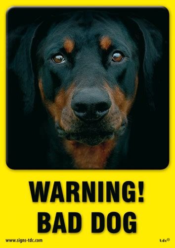 Warning Bad Dog Sign Pc203a Tdc