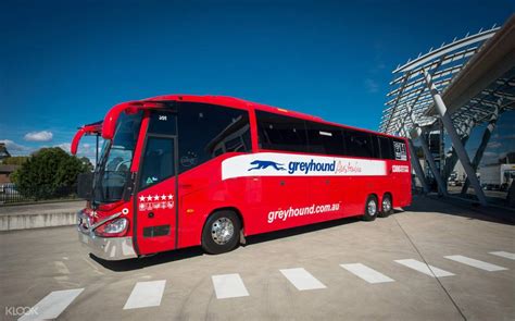 Greyhound Australia Whimit Coach Pass From Brisbane Australia