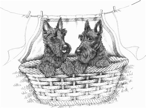 Download Pen & Ink Reproductions | Scottie dog, Scottie, Dog art