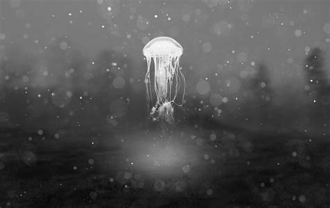 Jellyfish Dream Mixed Media By Marvin Blaine Fine Art America