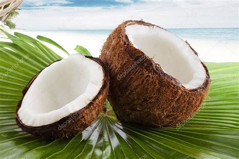 Coconutcoconut Stock Photo By ©ersler 12085200