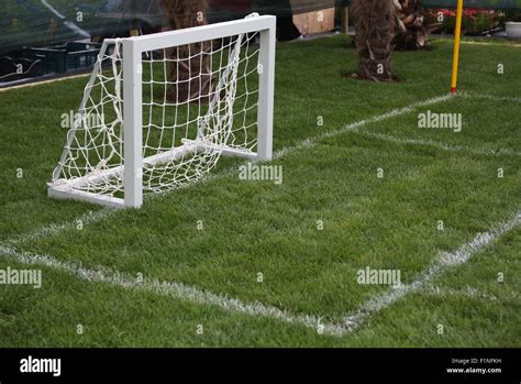 Soccer Football Field Net Goal Pitch Sport Game Fields Hi Res Stock