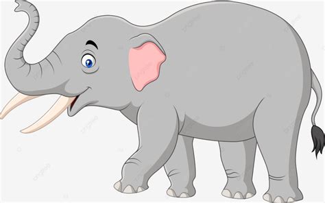 Gajah Kartun Diisolasi Dengan Latar Belakang Putih Tersenyum Taring