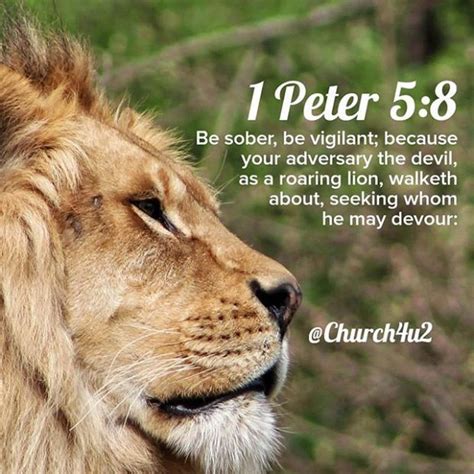 Church Daily News On Be Sober Be Vigilant Roaring Lion Vigilant