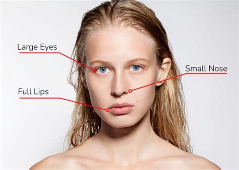 Why Is A Smaller Nose Width More Attractive Than A Wider One Among Females Pinkmirror Blog