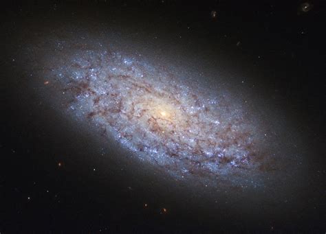 Hubble Displays A Dwarf Spiral Galaxy Spaceref