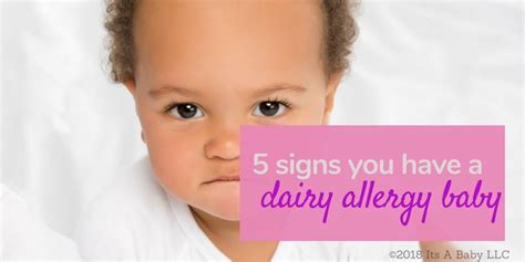 If your baby is sensitive to something you are eating, you will most if you reintroduce dairy into your diet and baby reacts, cut out dairy products again for at least another month. 5 Clues that you may have a Dairy Allergy Baby (even if ...